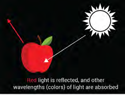 How to Enhance SWIR Imaging with Multispectral Optical Filters