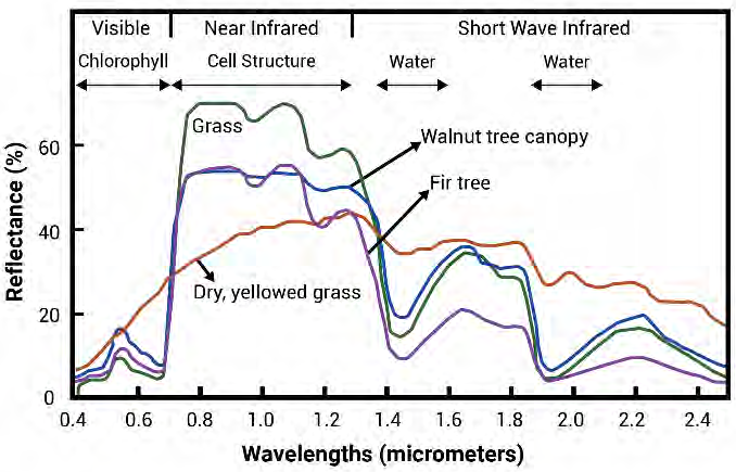 How to Enhance SWIR Imaging with Multispectral Optical Filters