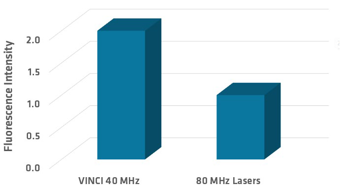 Two-photon fluorescence intensity vs laser repetition rate