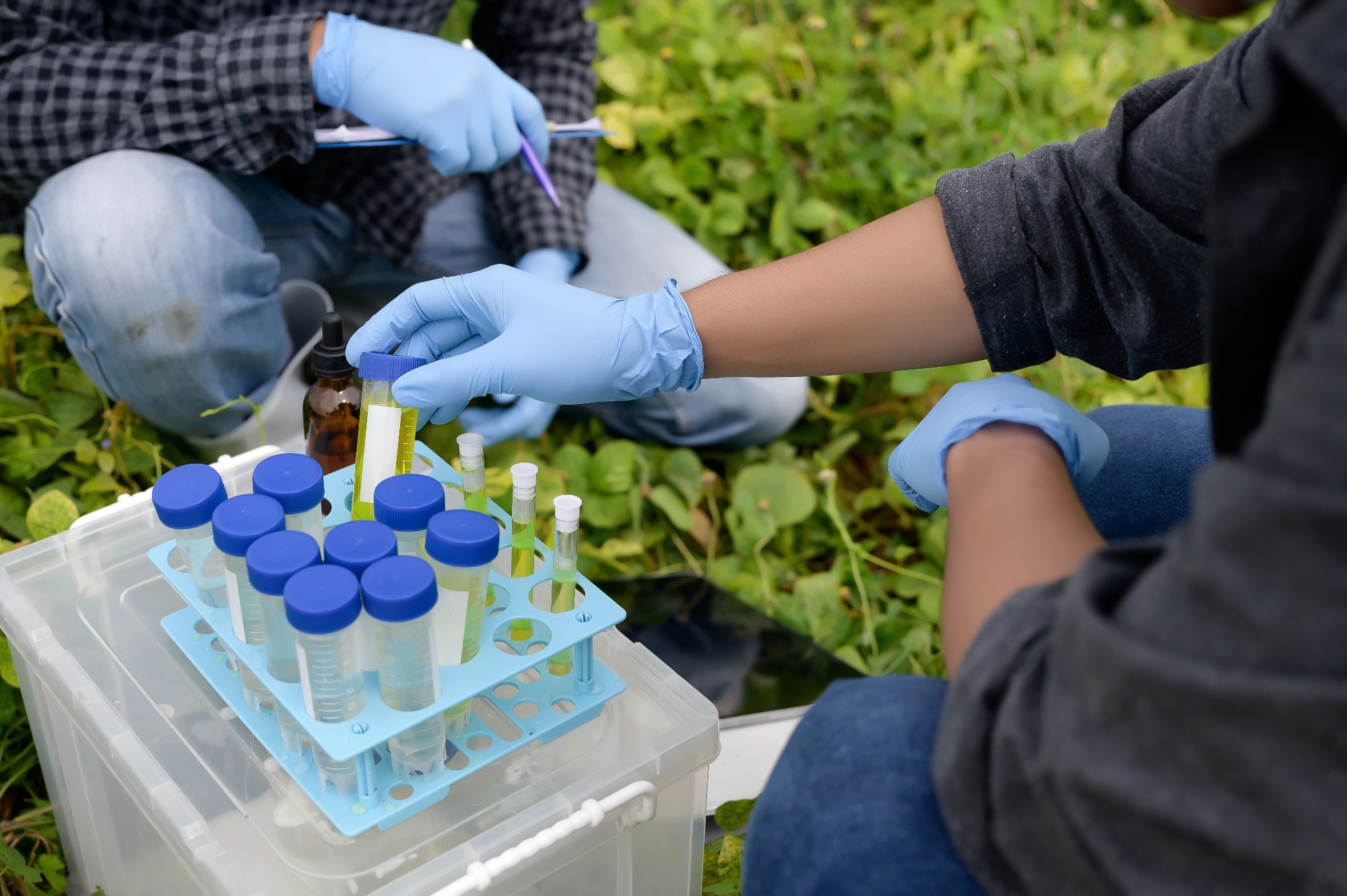 Researchers wearing blue gloves conduct field sampling with test tubes and vials in a grassy agricultural area, collecting samples for environmental analysis.