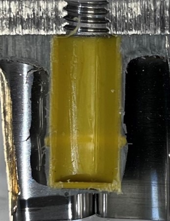 Cross-section of an individual cup