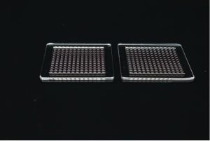 Microlens arrays.