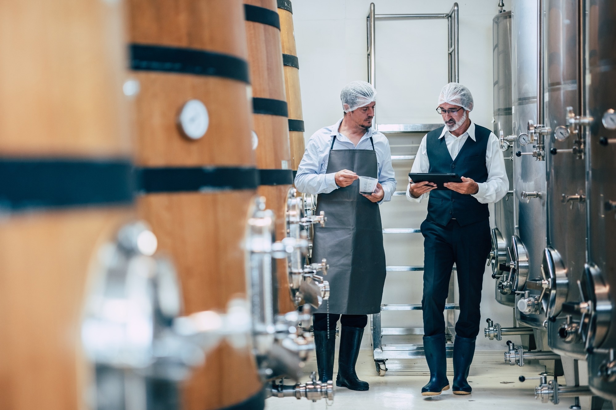 spectroscopy allows to monitor wine fermentation and more