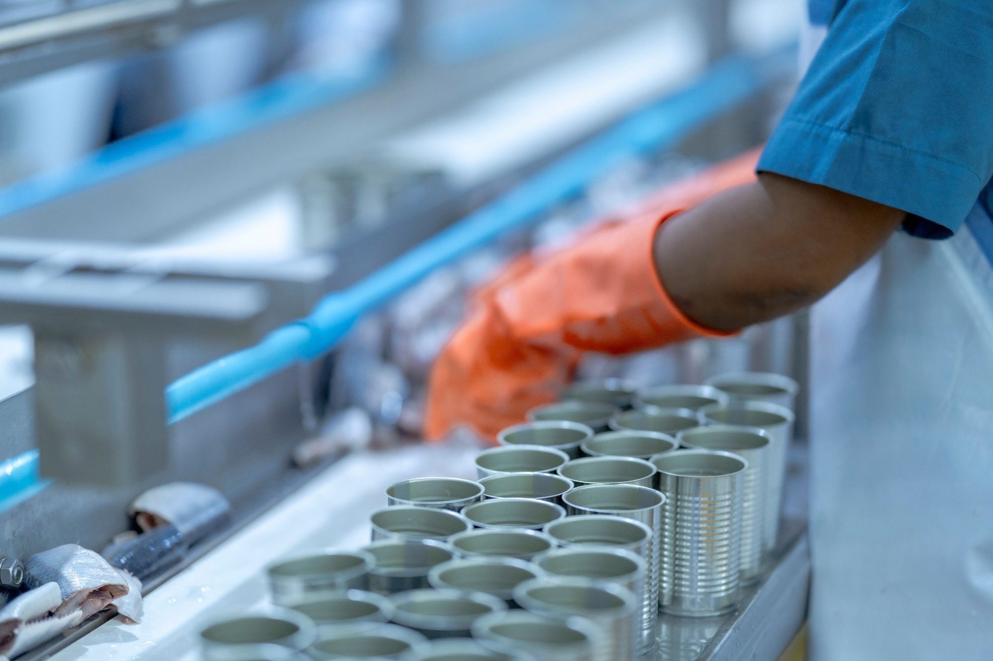 A picture of an assembly line for food packaging