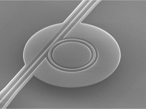 SEM image of a microring modulator structure in a photonic integrated circuit (PIC)