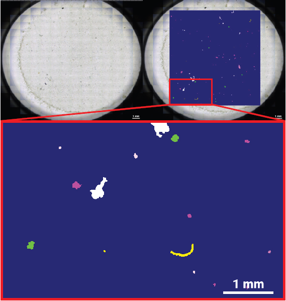 Exemplary data obtained from a Southern Ocean surface seawater sample. Left: transmitted-light mosaic of the Anodisc filter. Right: corresponding hyperspectral µ-FT-IR image acquired with the Bruker LUMOS II and evaluated with the Bruker MPID software