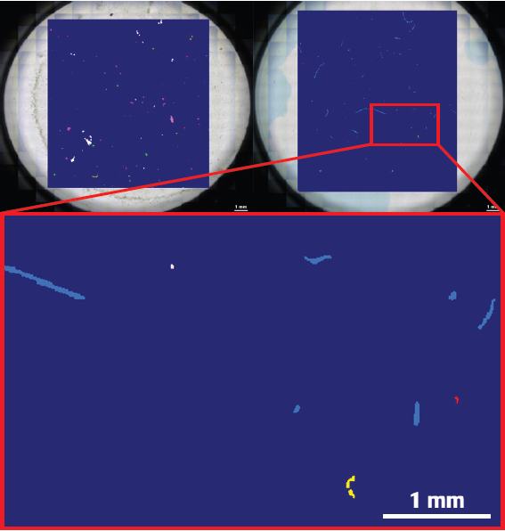 Data obtained from a Guanabara Bay mussel tissue sample. Left: transmitted-light mosaic of the Anodisc filter following alkaline digestion and density-based extraction. Right: corresponding hyperspectral µFT-IR map acquired with the Bruker LUMOS II and evaluated with the Bruker MPID software.