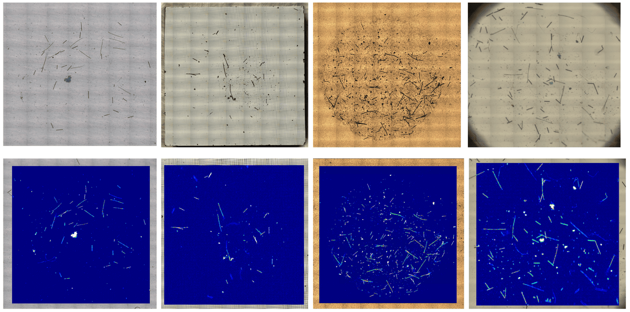 Top: visual images of Anodisc, Silicon, Gold and PTFE Filter. Bottom: Chemical images of particles as overlay