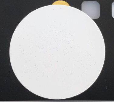 Nitrocellulose membrane filter with limited suitability for microplastics imaging workflows