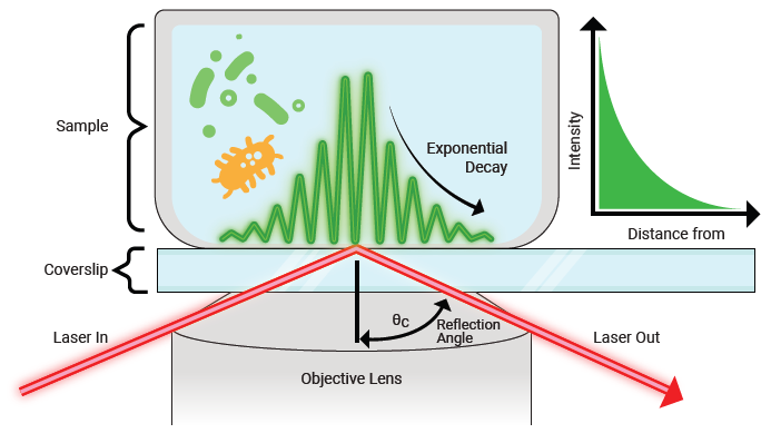Evanescent field generated by total internal reflection, showing exponential intensity decay