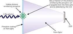 Indirect detection with phosphor-coated removable magnifying taper