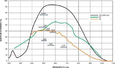 Quantum Efficiency and Fluorescent Dyes relevant to Total Internal Reflectance Fluorescence