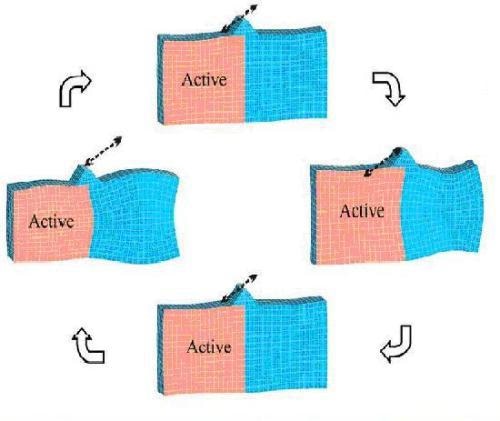 Dynamic phases in a stator plate of a piezo ultrasonic motor.
