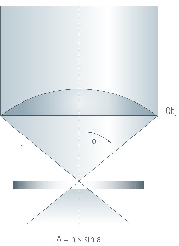 The numerical aperture of the objective determines the detail resolution and brightness of the image.