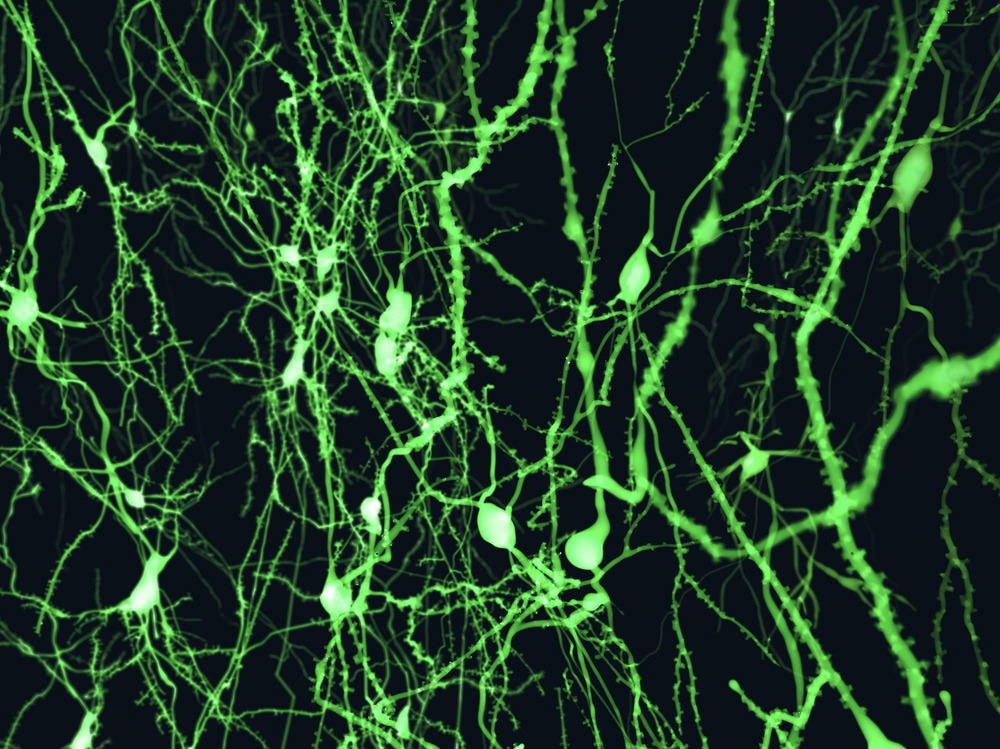 What is Atomic Fluorescence Spectroscopy?