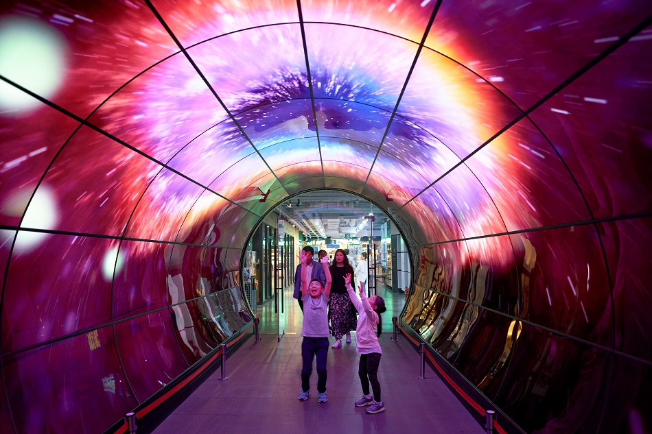 ImageForArticle_43_1580209978227706.png