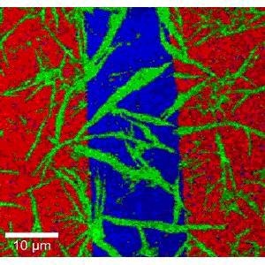 Color-coded confocal Raman image of a 7.1 nm PMMA layer (red) and a 4.2 nm contamination layer (green) on glass (blue). 200 x 200 spectra, 7 ms integration time/spectrum. Total acquisition time 5.4 minutes.