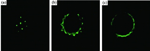 Advantages Of General Purpose Software