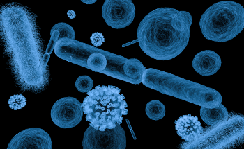 X-Rays Using Zone Plate Lenses Capable of 15-Nanometer Resolution or More