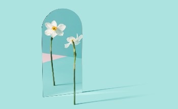How Does a Mirror Work?