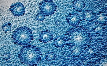 AFM vs. STM - Choosing a Microscopy Technique for Your Application