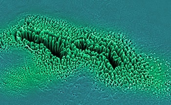 AFM - Sharp Tip vs. Colloidal Probe