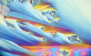 Mimicking Biological Structures to Create Polarization Sensors