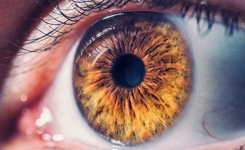 What are Optically Responsive Materials?