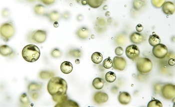 Elemental Analysis with Laser-Induced Breakdown Spectroscopy
