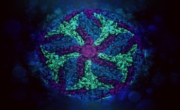 Applications of Cryo-Electron Microscopy