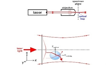 What are Optical Tweezers?