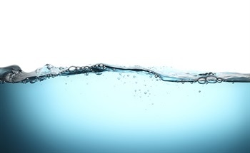 Photonic Sensors for Fluid Monitoring
