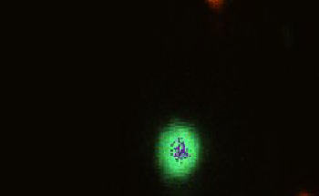 Single-Element Detector for Multispectral Flow Cytometry