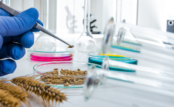 The Benefits of Using Infrared Spectroscopy for Food Quality Analysis