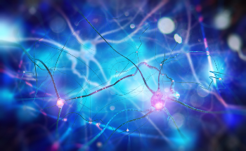 "Flash and Freeze" Reveals Dynamics of Nerve Connections