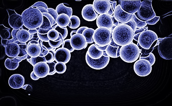 Using Quantum Dot Microscopes to Show Electric Potentials of Atoms