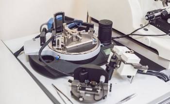 Characterizing ACL Collagen Using Atomic Force Microscopy