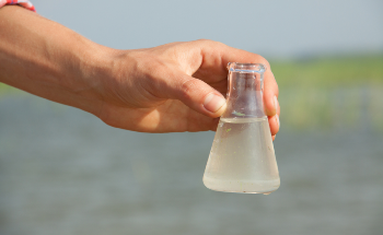 Advancements in Evanescent Wave Fiber-Optic Sensors for Water Monitoring