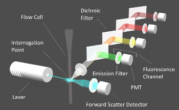 Alluxa Flow Cytometry Filters