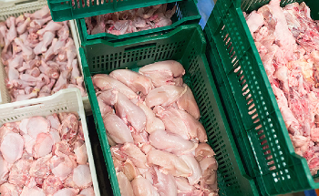 Automated Inspection for Chicken Breast Product Sampling
