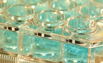 How to Correctly Choose Your Raman Excitation Wavelength