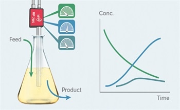 Using Raman Spectroscopy for Process Monitoring