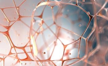 The Importance of Infrared Spectroscopy for Biological Tissue Exploration
