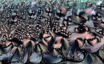 What is Polarized Light Microscopy Used For?