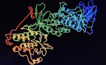 Recent Developments in the Circular Dichroism Spectroscopy of Proteins