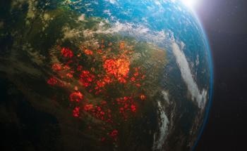 Optical Systems for the Early Detection of Forest and Wildfires