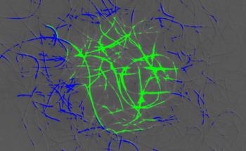 The Implications of Using Light to Control Molecular Motion