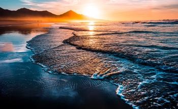 Using Microscopy to Study Marine Microfossils for Climate Research