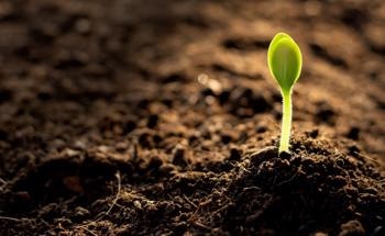 How Optics Help Reduce Reliance on Hazardous Reagents in Soil