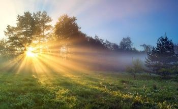 SPOTLIGHT: Producing Clean Energy with Photonics and Sunlight